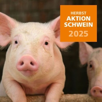 2025 Herbstaktion Schwein