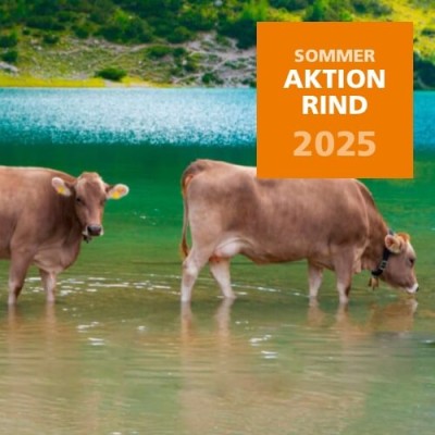 2025 Sommeraktion Rind