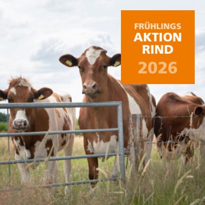 2026 Frühlingsaktion Rind