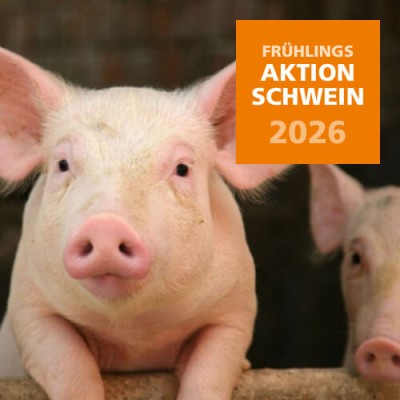 2026 Frühlingsaktion Schwein