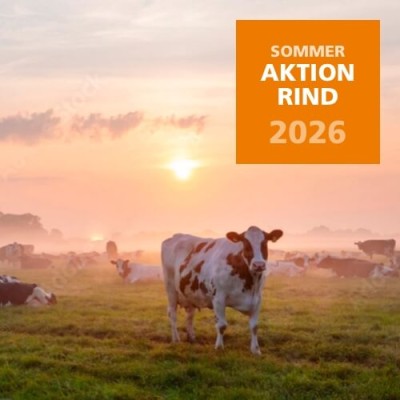 2026 Herbstaktion Rind