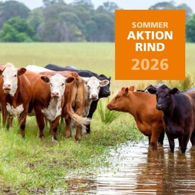 2026 Sommeraktion Rind