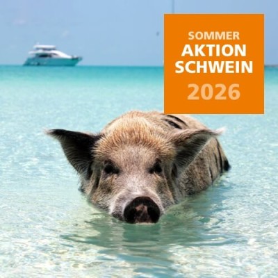 2026 Sommeraktion Schwein