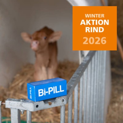 2026 Winteraktion Rind