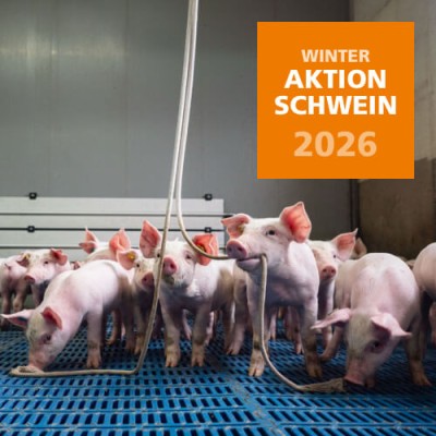 2026 Winteraktion Schwein