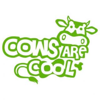 T-Shirt "Cows are cool" Kinder #1