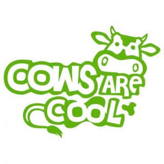 T-Shirt "Cows are cool" Damen #1