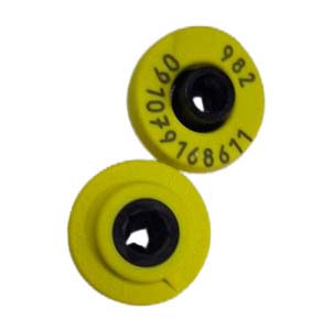 Transponder FDX BQR