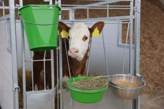 Futterschale Edelstahl 5,5 Liter #2