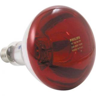 Infrarotlampe Hartglas rot 250 W Philips #1