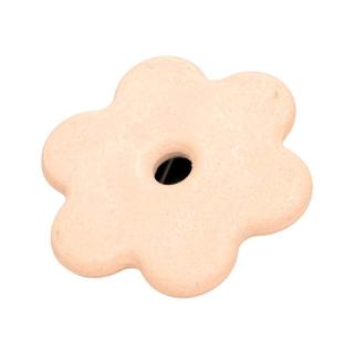 Knabberblume BestFarm natur