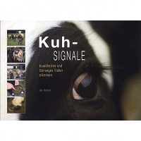 Kuh-Signale