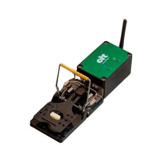 Rattenfalle Smart #1