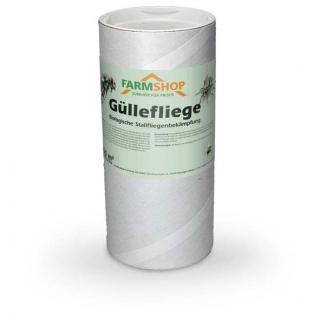 Güllefliege