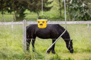 Fliegenfalle Fly für die Weide #4