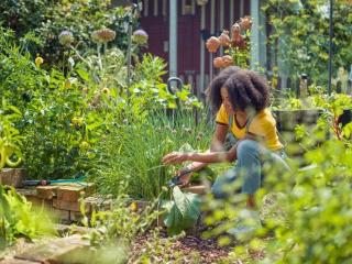 Gartenschere ExpertCut #1