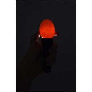 LED Schierlampe - Eierprüflampe #5