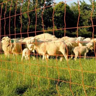 EURO-Netz Extra Einzelspitze 90 cm 50m Wildverbiss