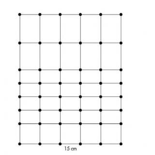 EURO-Netz-Plus Einzelspitze 106 cm, 50 m #1