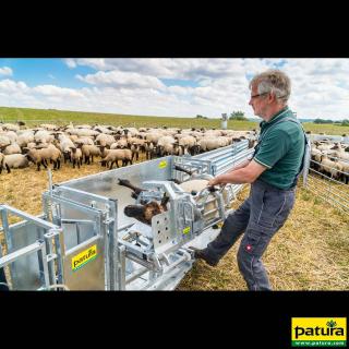 Patura Fang- & Behandlungsstand "Typ XL" #1