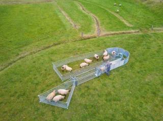 Patura 2-Wege-Stop-Sortiertor #1