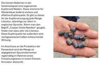 Koselen-i+2g Kupfer #1