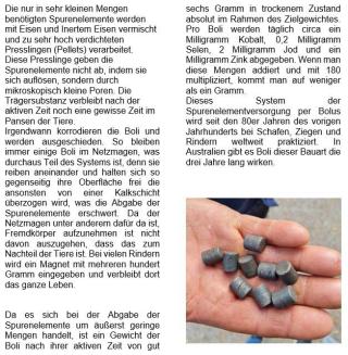 Allicillin10 Schaf & Ziege #2