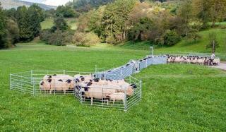 Patura Schwing-Schiebetor 1,83 m (L) #2