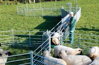 Patura 2-Wege-Sortiertor #2