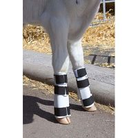 Beinschiene für Kälber
