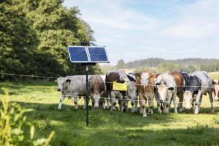 AKO Sun Power S3000 Weidezaungerät #2