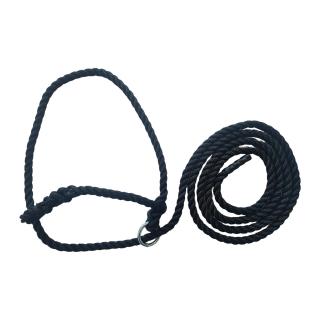 Westfälischer Fang- u. Vorfährstrick mit Ring 12mm