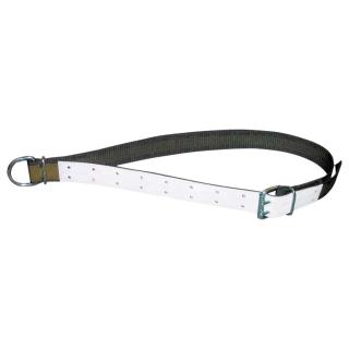 Bullen Halsgurt 150 cm 5 cm