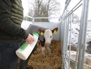 Kälberflasche MilkyFeeder 2,5 l #2