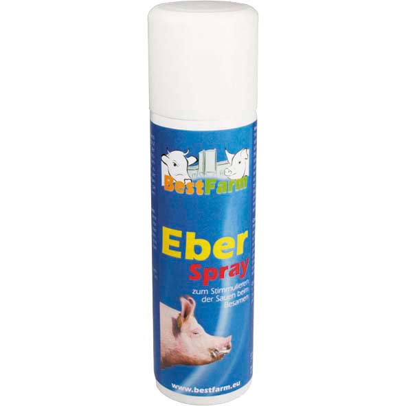 Eberspray (250 ml)