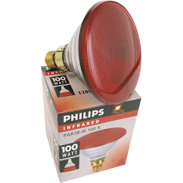 für Aufzuchtstrahler 100 Watt Philips Infrarot-Sparlampe rot Wärmestrahler 